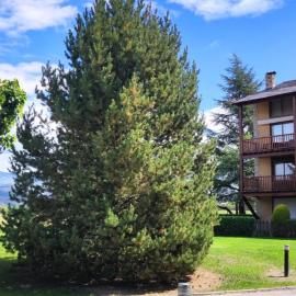 Apartamento dúplex en Bourg Madame