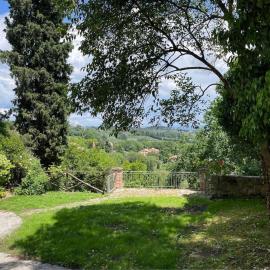 Belvedere