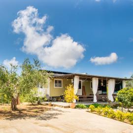 Hakuna Matata Holidays Agalia with airco & pool in Greek Olive Grove, hotell i Methoni