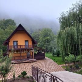 Садиба Срібний Вовк, hotel in Sasivka