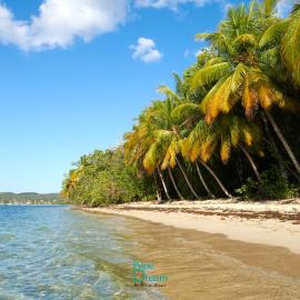 Touloukaera appt 303 Plage Kawann