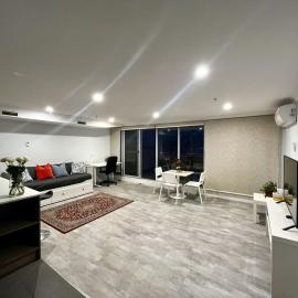Dana-Cozy Apartment with Shared Entry in the City