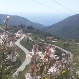 VILLA APHRODITE SOUGIA apt1