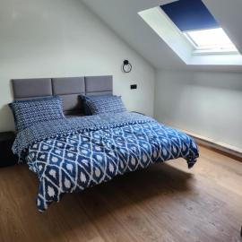 Blue Door Apartment Loft