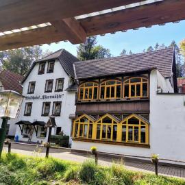 Waldhotel Pfarrmühle、アイゼンベルクのホテル