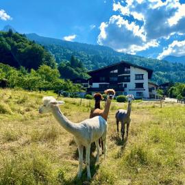 AlpenApart Montafon - Haus Engstler, hotel u gradu Tschagguns