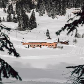 Hasenalm, Hotel in Schliersee