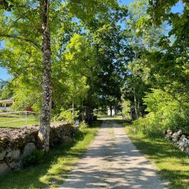 Cottage with beautiful nature, open landscape, forest and lakes, hotel v mestu Tingsryd