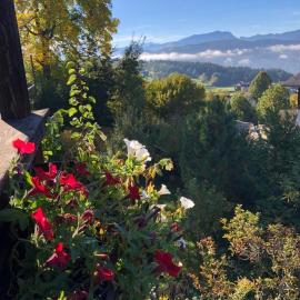 SapplAlm, hôtel à Millstatt