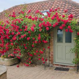Cosy Studio Cottage