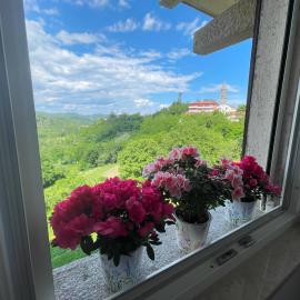 Apartment Kaštel, hotel in Pazin