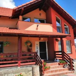 Casa Brănescu, готель у місті Acriş
