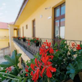 Collegium Varadinum, viešbutis mieste Oradia