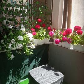 Studio apartman Sokak: Bihać şehrinde bir otel