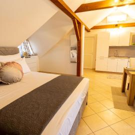 STYLISH STUDIO APARTMENT BURE