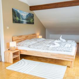 Lions Apartments - Erholung und Vergnügen in Bad Tatzmannsdorf, hotel in Jormannsdorf