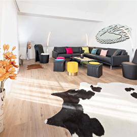 Exklusive 5,5 Zimmer Wohnung für Familien und Business, hotel v destinácii Eschenz