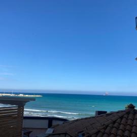 AmMARE