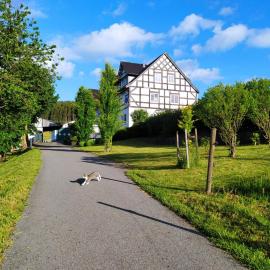 kleine AusZeit, hotel v destinácii Eslohe