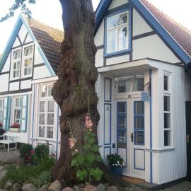 Haus Alexandrine, hotel en Warnemünde