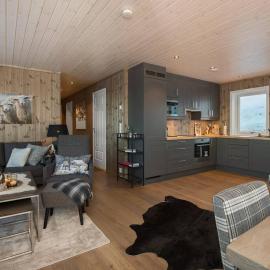Bualie Golsfjellet Ski-in Ski-out High Standard Biking Fishing and Hiking