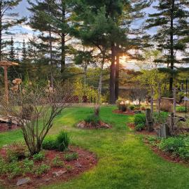 Spring Lake Resort, hotel en Dwight