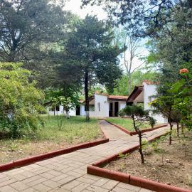 Complex Holiday Neptun, hotel u Neptunu