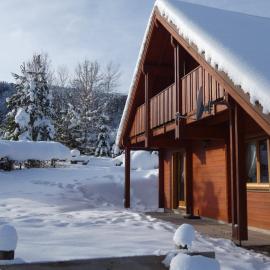Chalet Les 2 Bouleaux à 2 pas de GERARDMER et des lacs, hotel in Xonrupt-Longemer