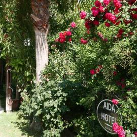 Aida Hotel, hotel a Çıralı