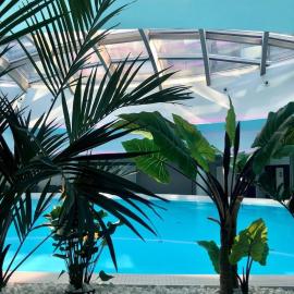 Hotel Dana Business & Conference, hotel a Stettino
