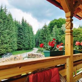 Poiana Sașilor - Valea Doftanei, hotel a Valea Doftanei