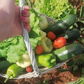 Piccolo Giardino