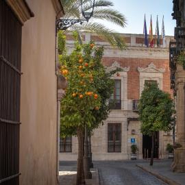 Hotel Casa Palacio María Luisa, hotel in Jerez de la Frontera