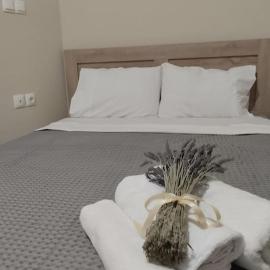 Δ5-Τα διαμερίσματα του δασκάλου, hotel u gradu Filiatra