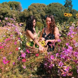 The Land - Retreat Center In Beautiful Nature - Bay Area Northern California, hotel in Philo