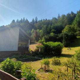 Pension Ernst im Herzen des Pfälzerwaldes mit Küche, hótel í Elmstein