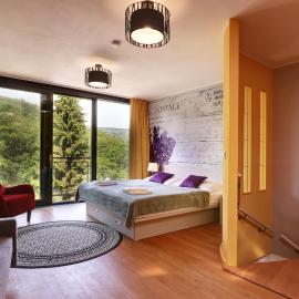 APARTMÁNY ADAM, hotel in Jáchymov