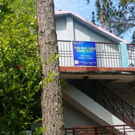 The Pine View Home Stay