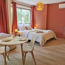 Studio confort - clim - ascenseur, hotel in Cavaillon
