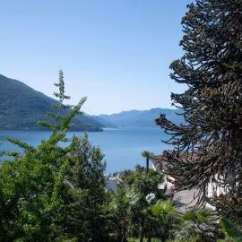Lake Blues, hotel i Brissago