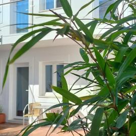 Naturalis, hotel in Vila Nova de Milfontes