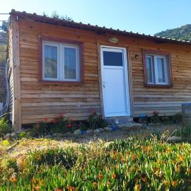 Pavlonya Bungalows, hotel em Muğla