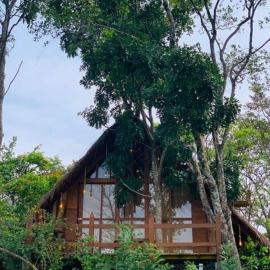 Kale Cottage Belihuloya, hotel in Belihuloya