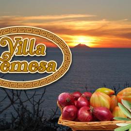 Villa Temesa