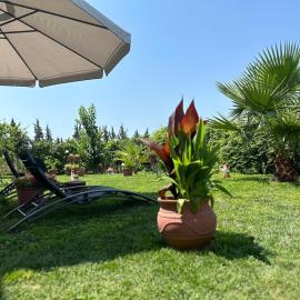Olympus Sea View Apartment., hotel in Nea Kallikrateia