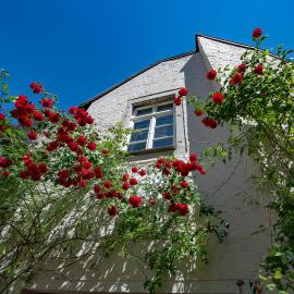 Gästehaus Vanille & Chocolat, hotel en Stolberg