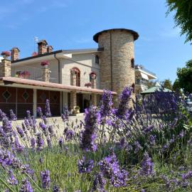 B&B Torre in Langa – hotel w mieście Carrù