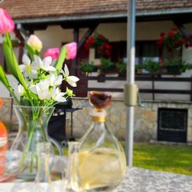 Vila Lena Banja Vrujci, hotel in Berkovac