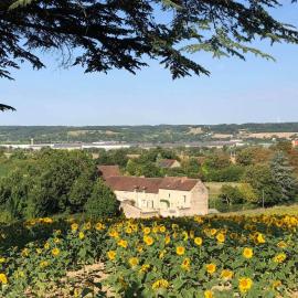 Le Domaine de Bella, hotel en Dangé