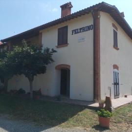 Podere Feltrino